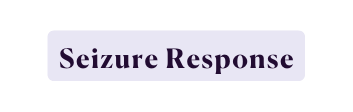 Seizure Response